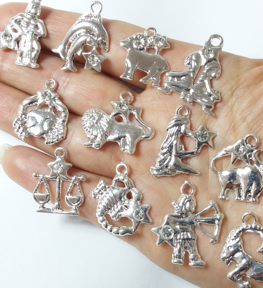 Add-on: Zodiac Charm (Silver tone)